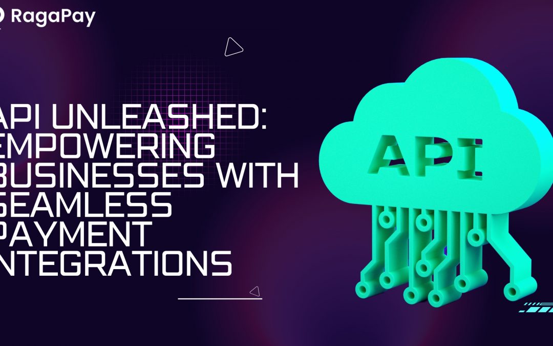 API Unleashed: Empowering Businesses with Seamless Payment Integrations